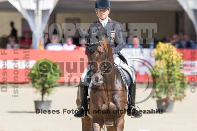 FEI European Championship Eventing 2017