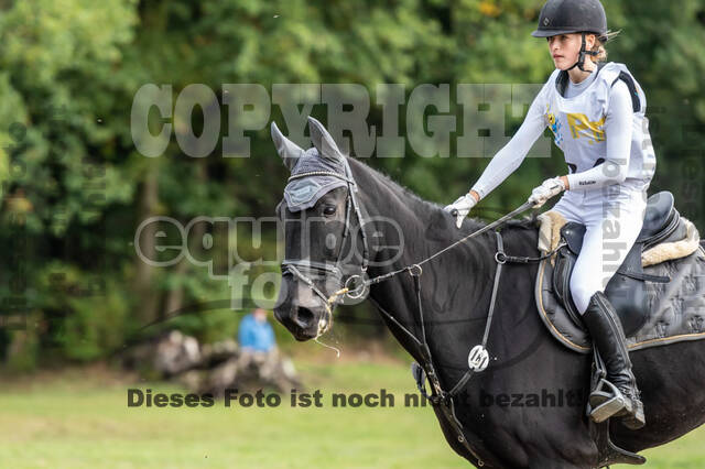 Vielseitigkeit RSV Wesel Obrighoven (26.+27.09.2020)