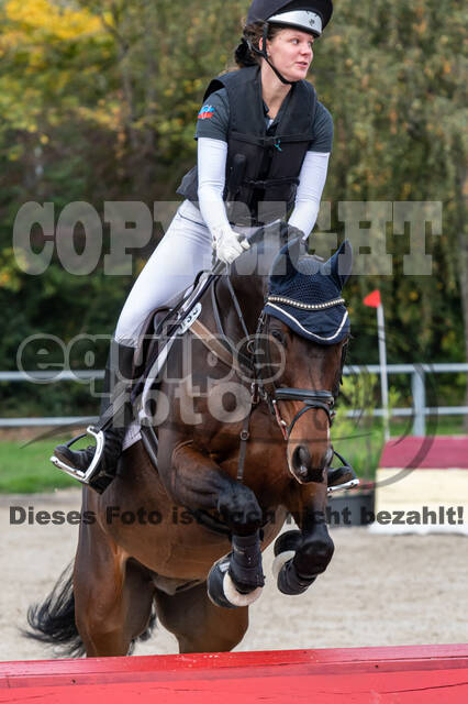 Goldene Schärpe 2020 - Pferde