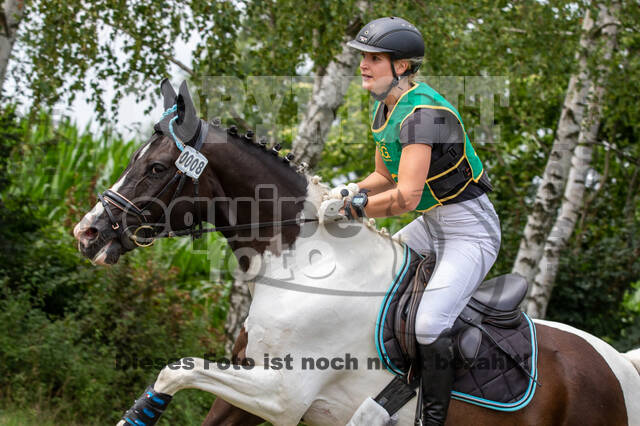 Late-Entry-Vielseitigkeit Gahlen (18.07.2020)