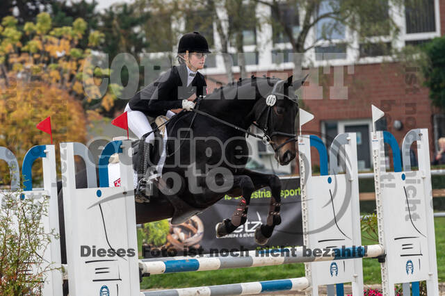 Goldene Schärpe 2020 - Pferde