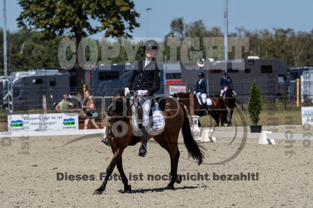 Kronenberg - De Peelbergen (August 2020)