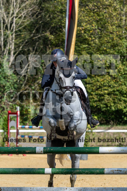 RFV Dinslaken-Hiesfeld (Herbstturnier)