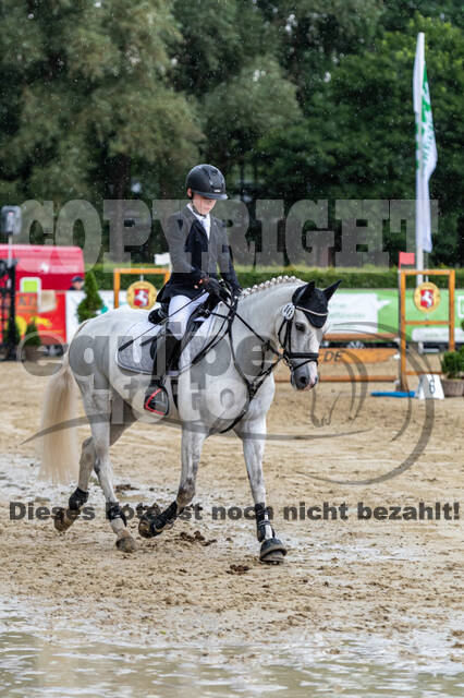 Goldene Schärpe 2021 - Ponys