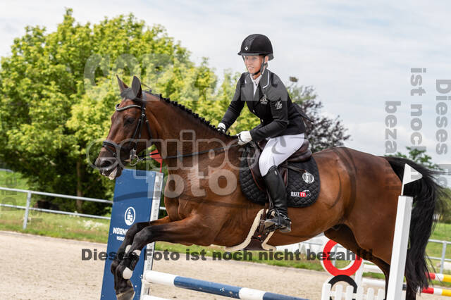 Late-Entry-Vielseitigkeit Langenfeld (06.+07.07.2020)