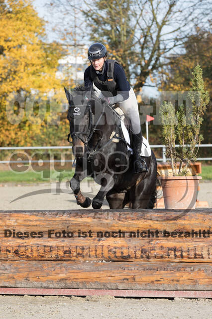 IGV Lehrgang der Sieger der Cups mit Frank Ostholt