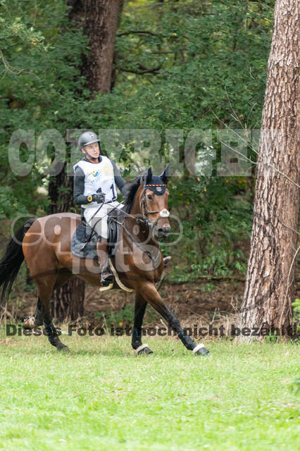 Vielseitigkeit RSV Wesel Obrighoven (26.+27.09.2020)