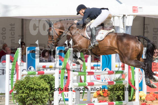 FEI European Championship Eventing 2017
