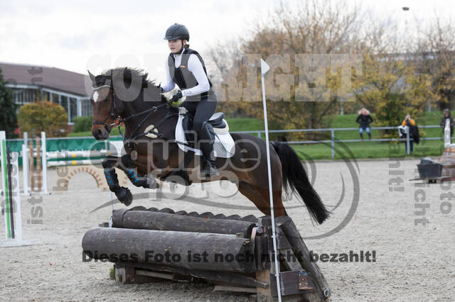 IGV Lehrgang der Sieger der Cups mit Frank Ostholt
