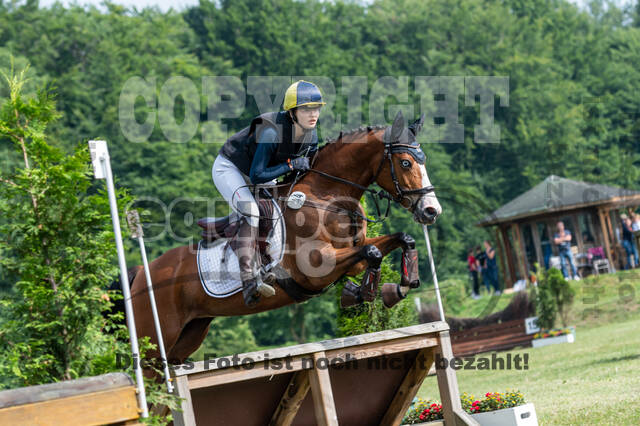 Goldene Schärpe 2021 - Ponys