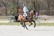 Eventing Langenfeld 2018
