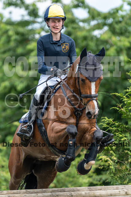 Goldene Schärpe 2021 - Ponys