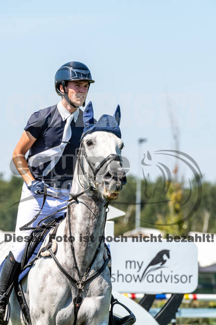 Kronenberg - De Peelbergen (August 2020)