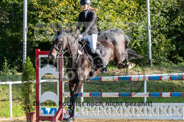 RFV Dinslaken-Hiesfeld (Herbstturnier)