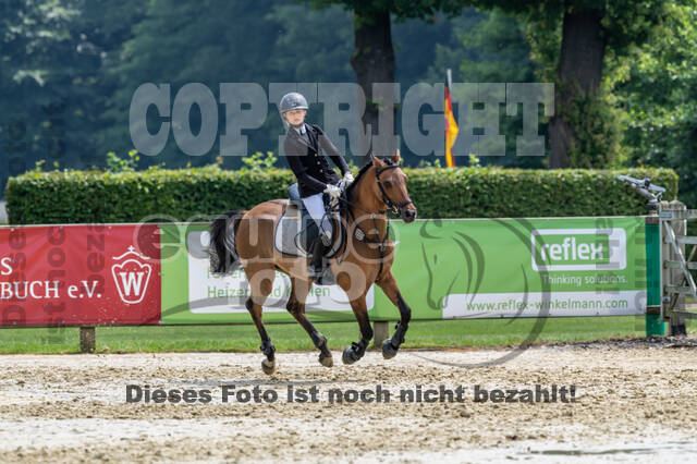 Goldene Schärpe 2021 - Ponys