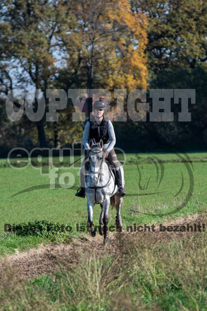 Vielseitigkeitslehrgang mit Jürg Kurbel (9.+10.11.2019)