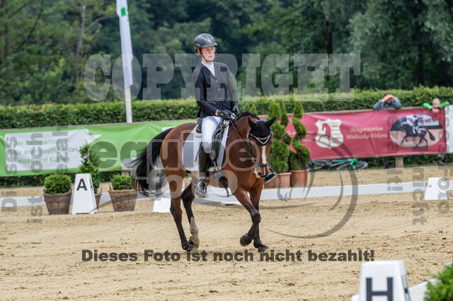 Goldene Schärpe 2021 - Ponys