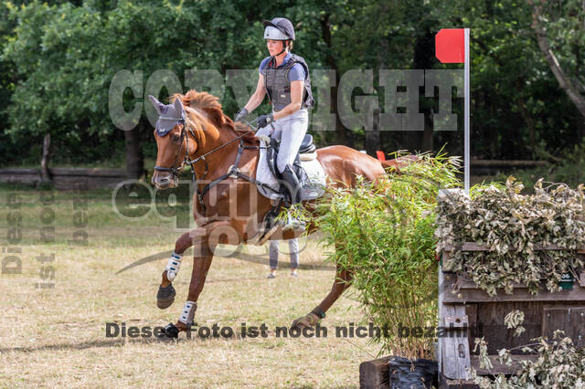 Late-Entry Vielseitigkeit Hamminkeln/Wesel (01.+02.08.2020)
