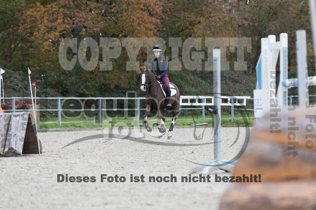 IGV Lehrgang der Sieger der Cups mit Frank Ostholt