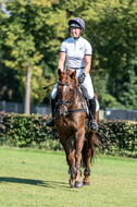 Kronenberg - De Peelbergen (August 2020)
