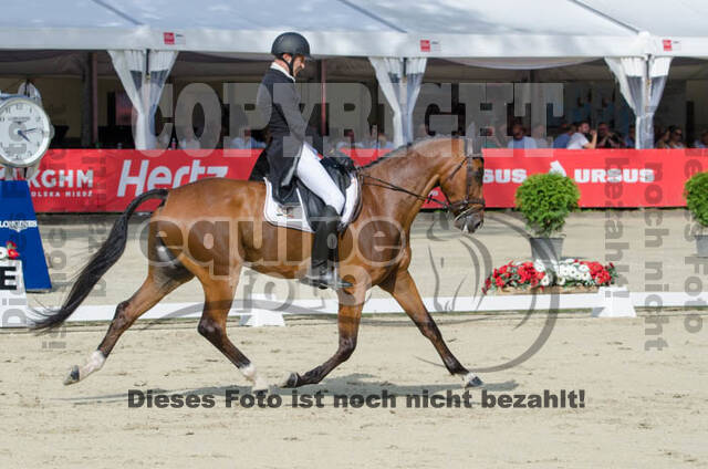 FEI European Championship Eventing 2017