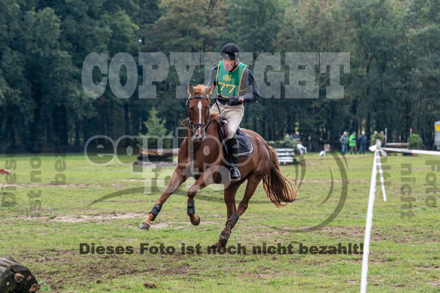 Vielseitigkeit RSV Wesel Obrighoven (26.+27.09.2020)