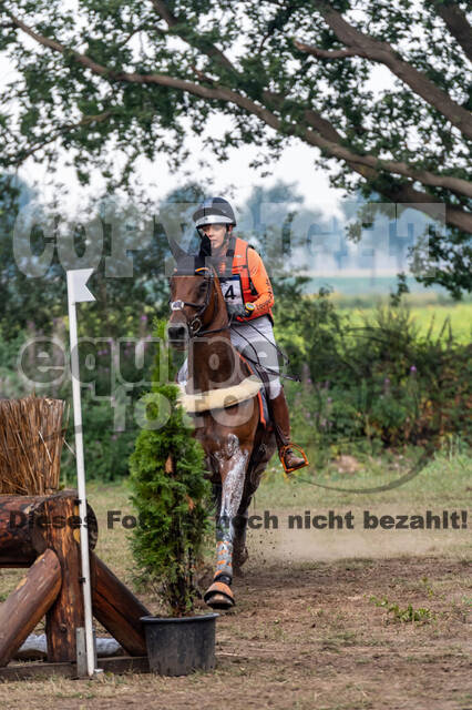 De Peelbergen (August 2020)