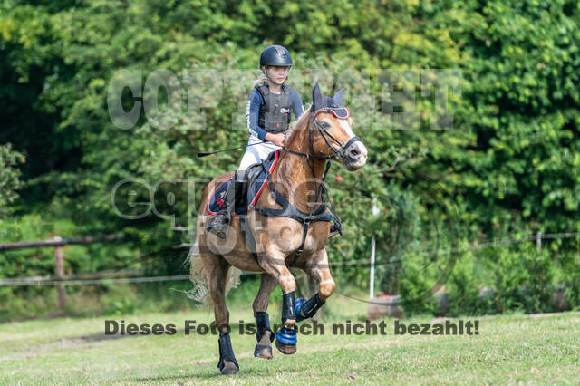 Goldene Schärpe 2021 - Ponys