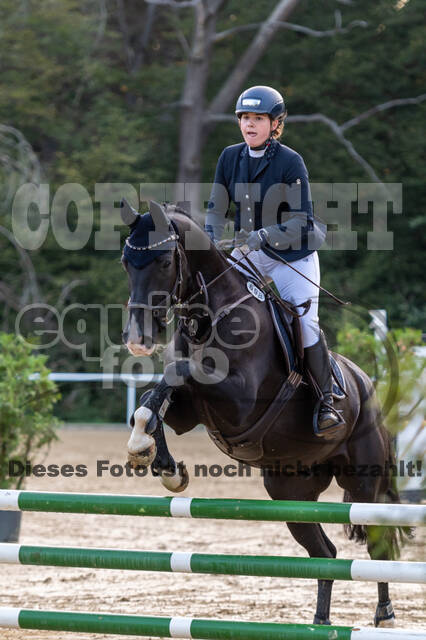 RFV Dinslaken-Hiesfeld (Herbstturnier)