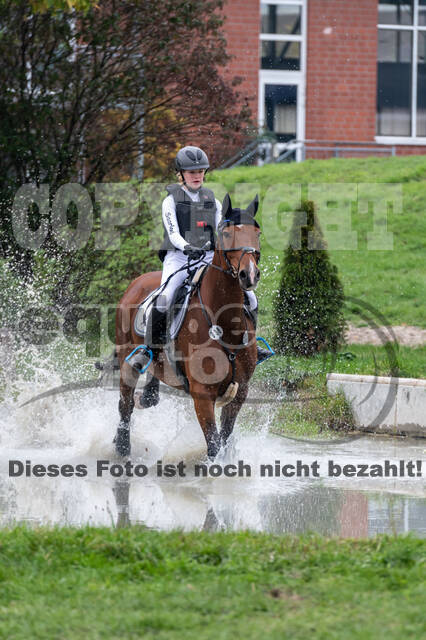 Goldene Schärpe 2020 - Pferde