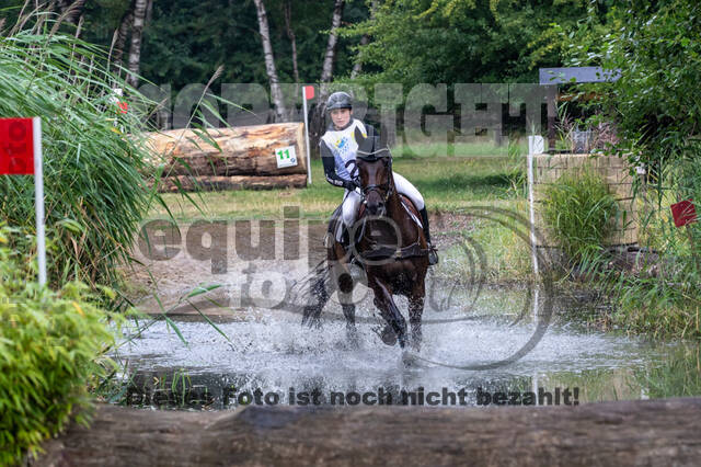 Late-Entry Vielseitigkeit Hamminkeln/Wesel (01.+02.08.2020)