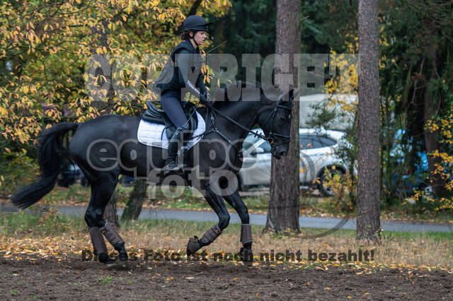 Training Bettina Hoy (01.11.2020)