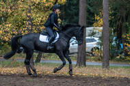 Training Bettina Hoy (01.11.2020)