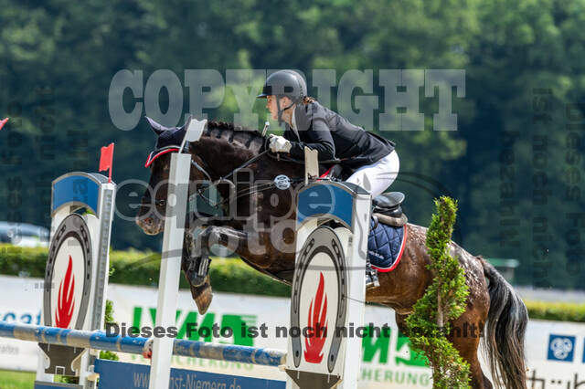 Goldene Schärpe 2021 - Ponys