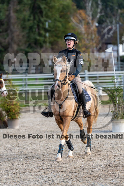 IGV Lehrgang der Sieger der Cups mit Frank Ostholt