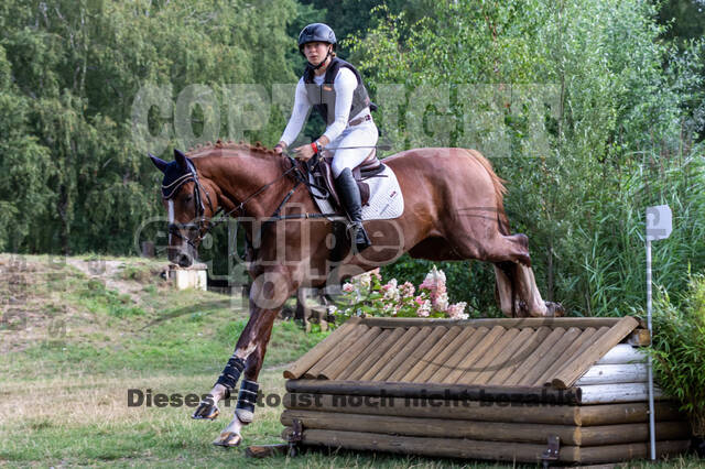 Late-Entry Vielseitigkeit Hamminkeln/Wesel (01.+02.08.2020)