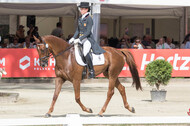 FEI European Championship Eventing 2017