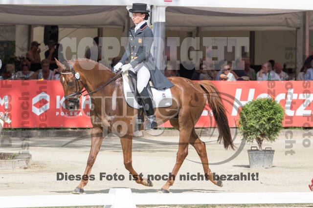 FEI European Championship Eventing 2017