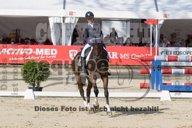 FEI European Championship Eventing 2017