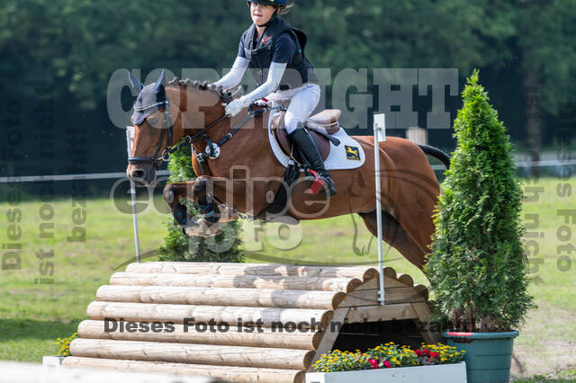 Goldene Schärpe 2021 - Ponys