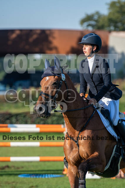 De Peelbergen (August 2020)