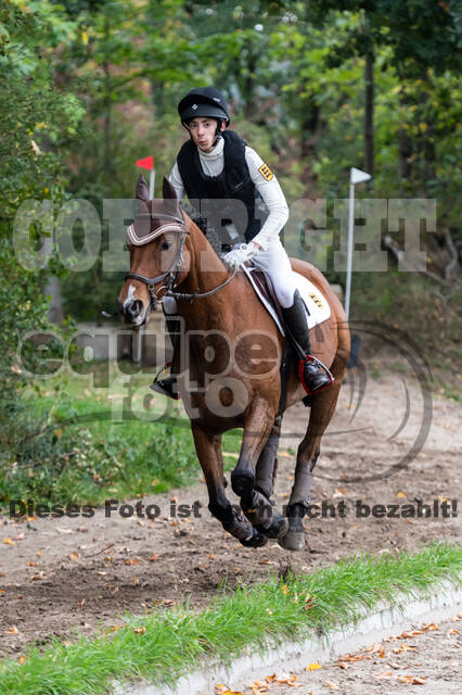 Goldene Schärpe 2020 - Pferde