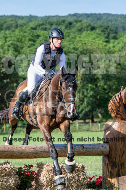 Bonn-Rodderberg Late-Entry-Vielseitigkeit (30.06.2020)