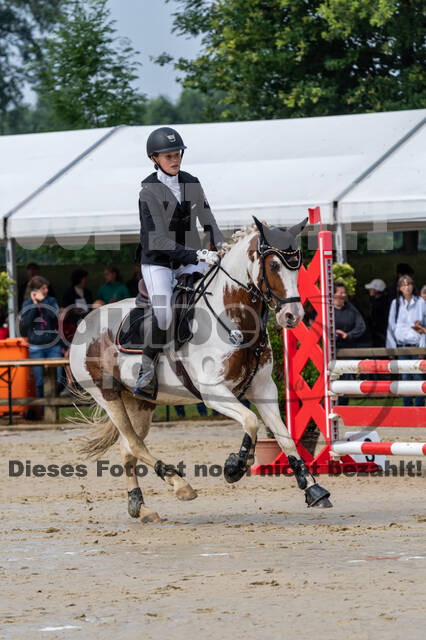 Goldene Schärpe 2021 - Ponys