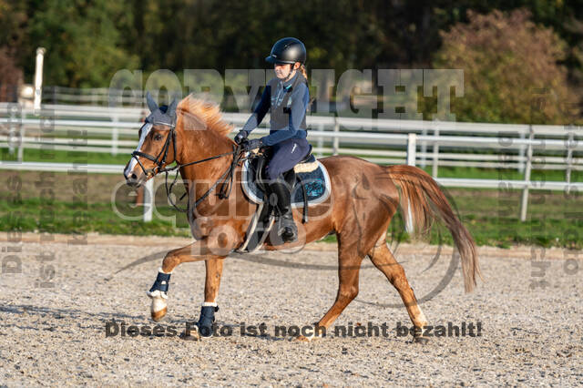 IGV Lehrgang der Sieger der Cups mit Frank Ostholt