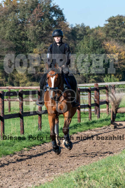 Vielseitigkeitslehrgang mit Jürg Kurbel (9.+10.11.2019)