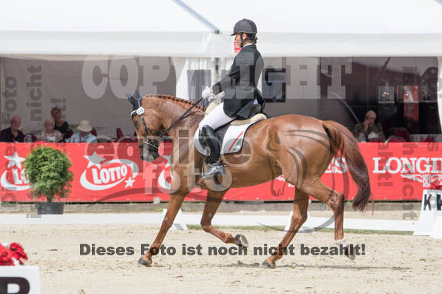 FEI European Championship Eventing 2017