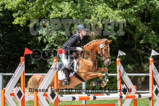 Late-Entry-Vielseitigkeit Langenfeld (06.+07.07.2020)