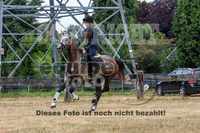 Late-Entry Vielseitigkeit Hamminkeln/Wesel (01.+02.08.2020)