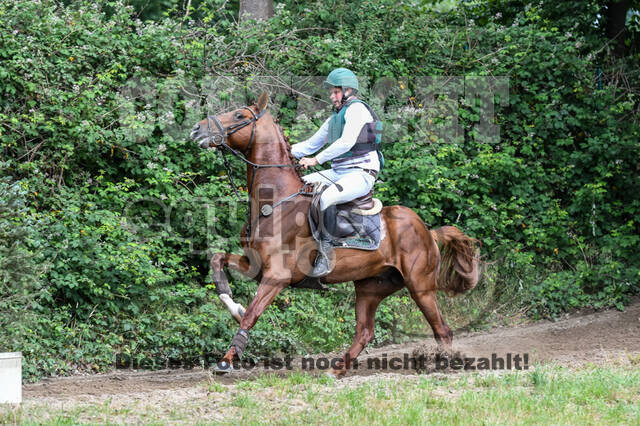 Late-Entry-Vielseitigkeit Langenfeld (11.+13./14.06.2020)
